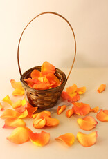 Flower Girl Basket + Petals