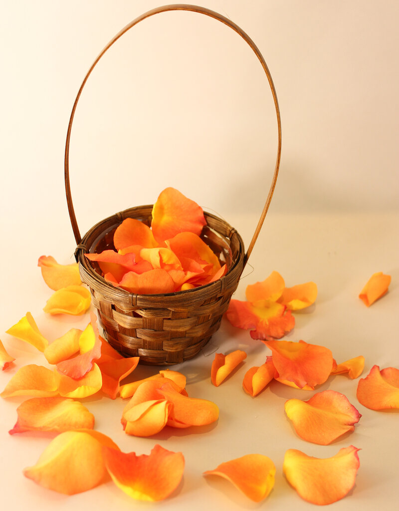 Flower Girl Basket + Petals
