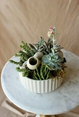 Succulent Garden