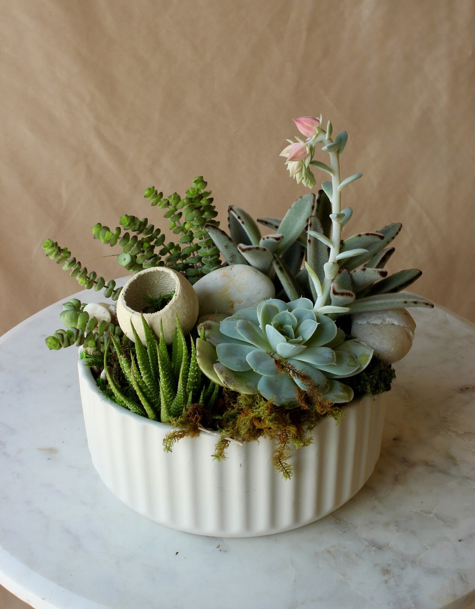 Succulent Garden