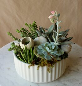 Succulent Garden