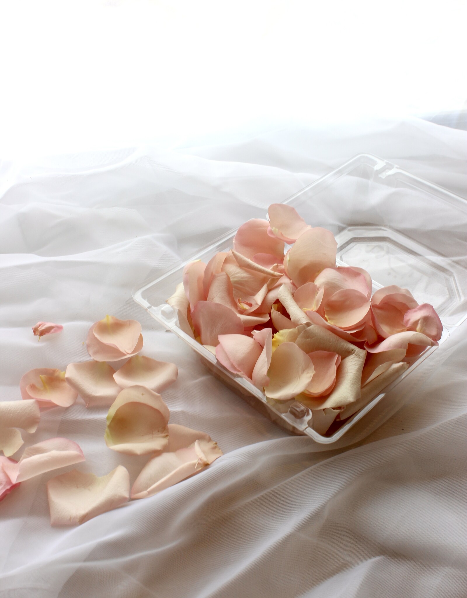 Petals