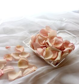 Petals