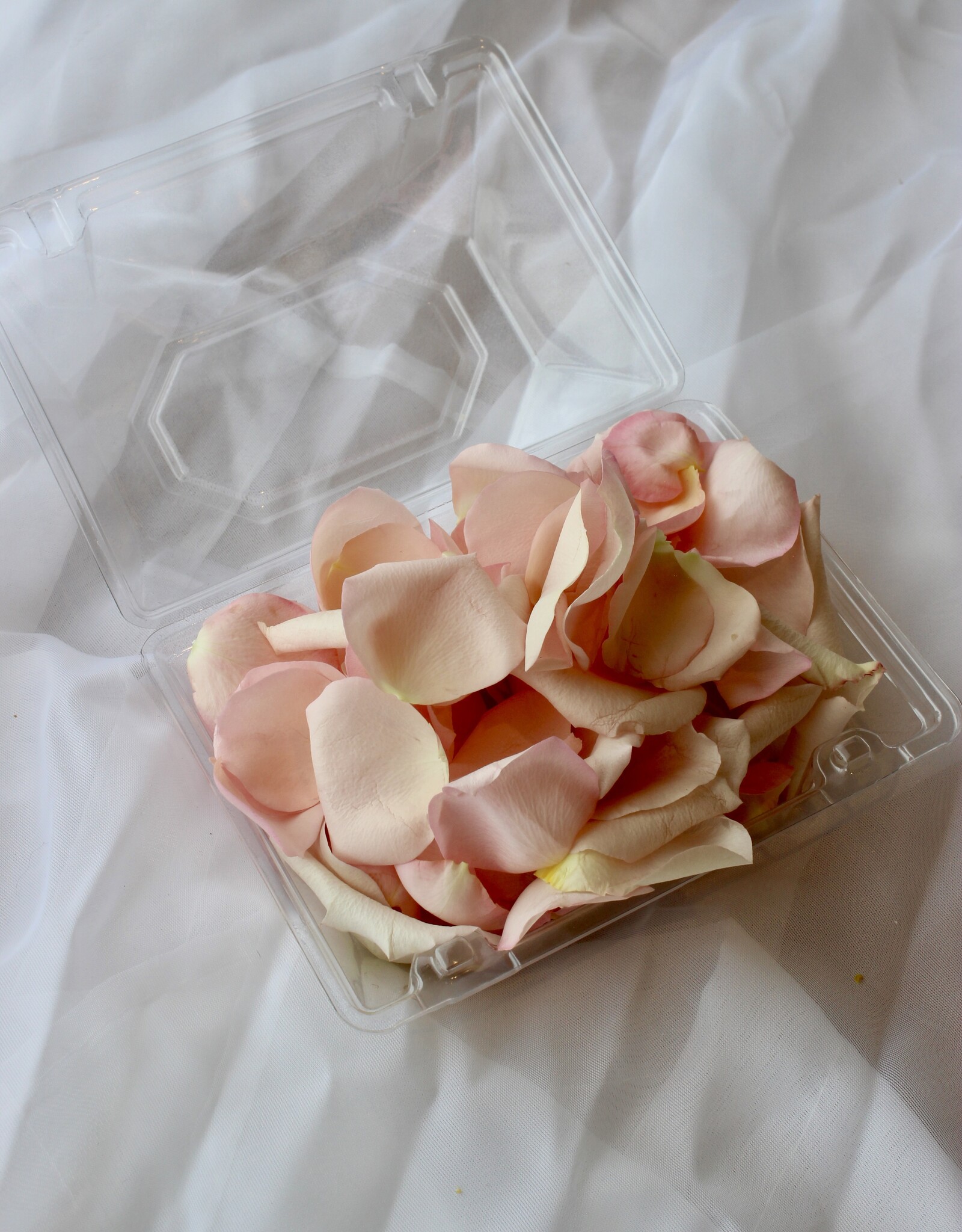 Petals