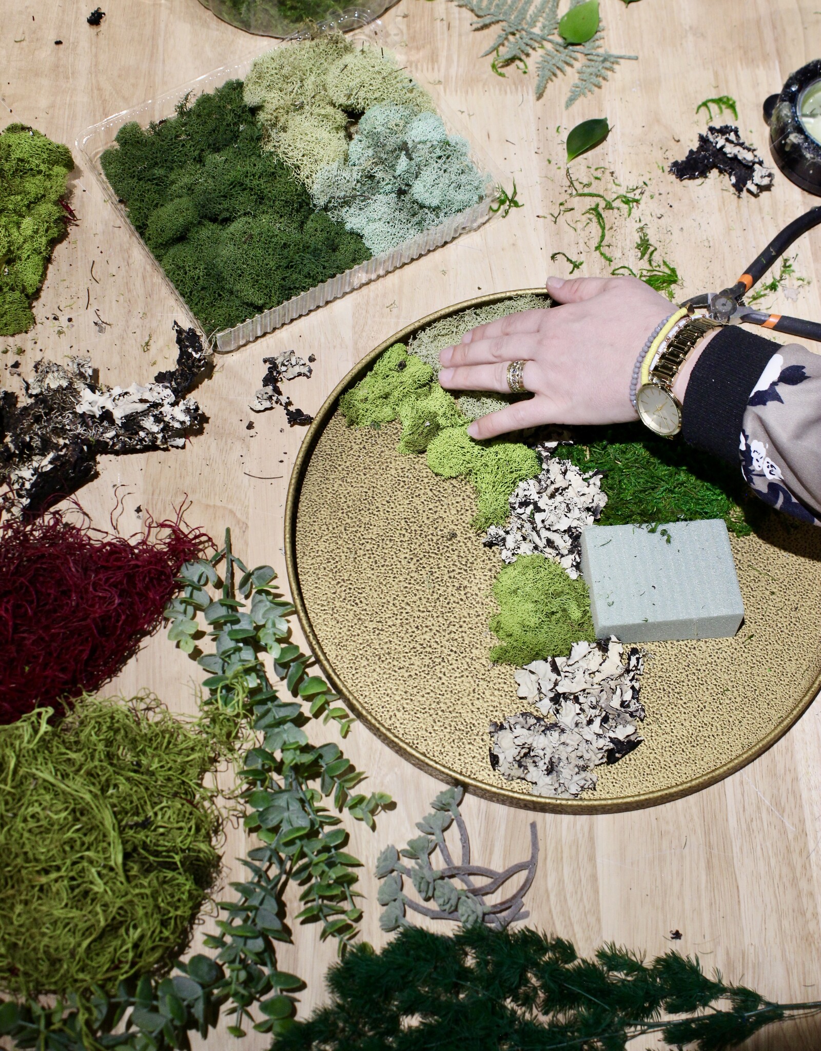 March - Moss Wall Art Class