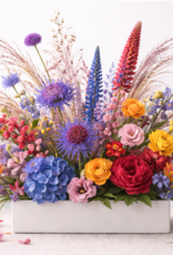 July - Firework Arrangement Class