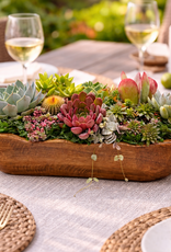 August - Succulent Garden Centerpiece