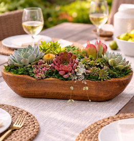 August - Succulent Garden Centerpiece