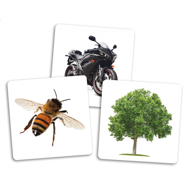 Placote Le Dé des Premiers Mots (Cartes supplémentaires) - Placote