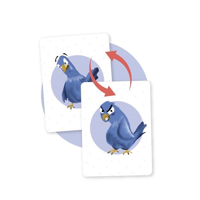 Focus Minus (Bilingue)