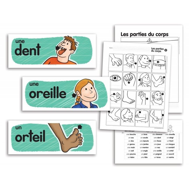 Passe-Temps Vocabulaire mural des parties du corps - Passe-temps