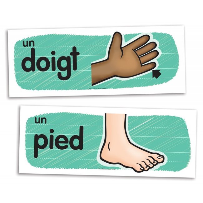 Passe-Temps Vocabulaire mural des parties du corps - Passe-temps