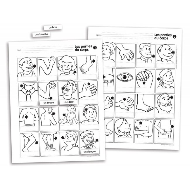 Passe-Temps Vocabulaire mural des parties du corps - Passe-temps