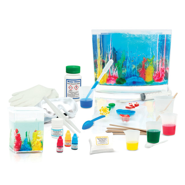 Gladius Biologiste Marin - Joyaux Océaniques