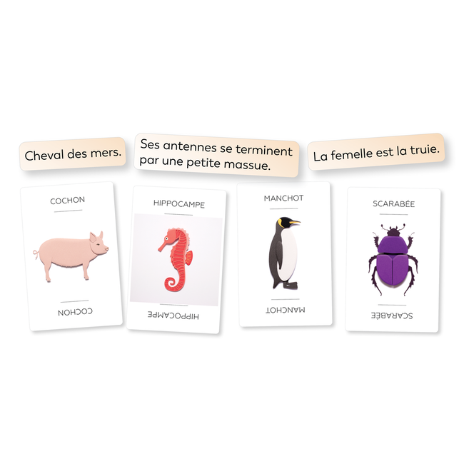 Linkto -Animaux (Français)