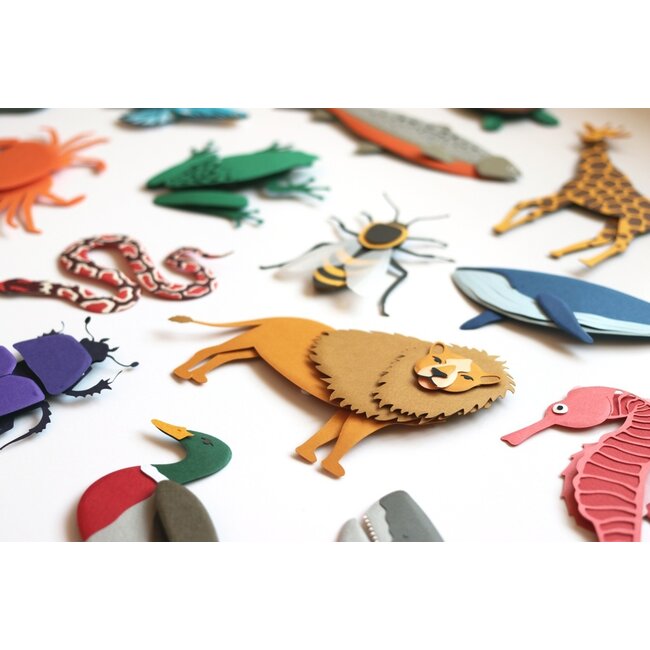 Linkto -Animaux (Français)