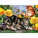 Royal & Langnickel Peinture à numéro - Jeu de Chaton