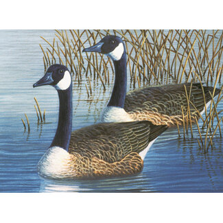 Royal & Langnickel Peinture à numéro - Oies