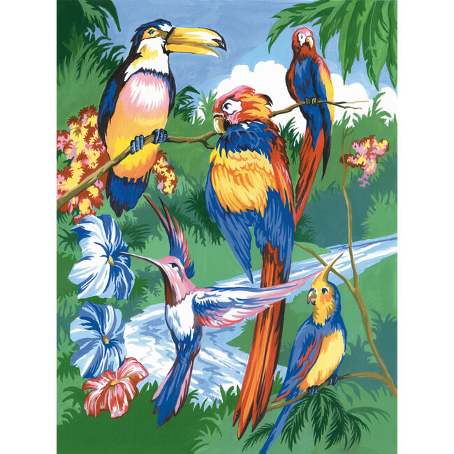 Royal & Langnickel Peinture à numéro - Oiseaux Tropicaux