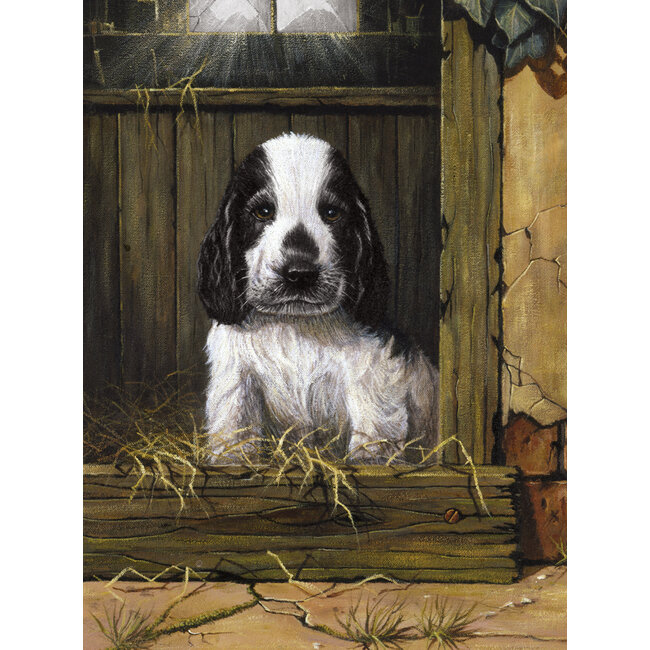 Royal & Langnickel Peinture à numéro - Chiot d'Épagneul