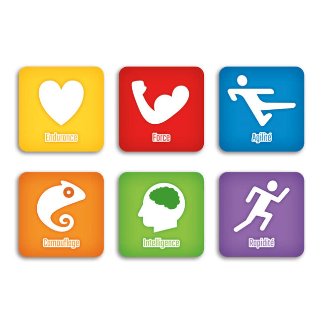 Placote Chromatik (Français)