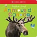Scholastic Tout à tout - Animaux du Canada