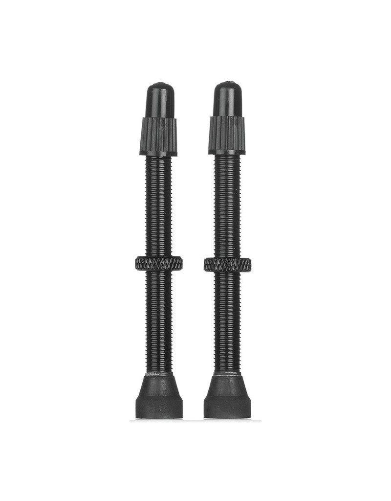 stans tubeless valve stem