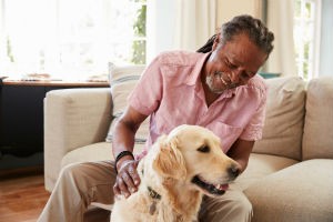 Chiropractic Care for Senior Dogs