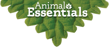 Animal Essentials Supplements a Complete Diet