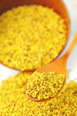 Guest Blog by Dr. Harvey: Bee Pollen for Animals
