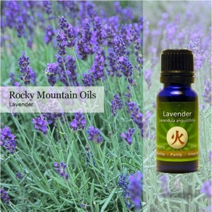 Lavender: Our Go-To Essential Oil