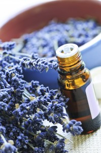 What are the Health Benefits of Essential Oils for Pets?