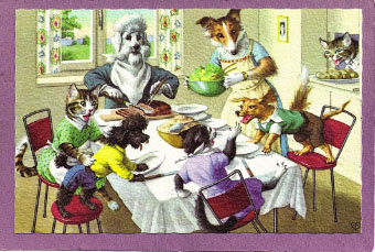 Best Diet for Dog & Cat