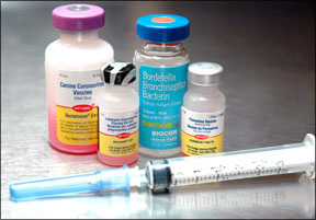 Vaccine Titer Testing