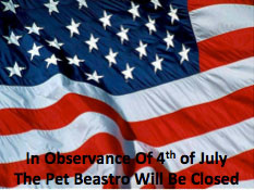 Essential Fourth Of July Tips For Your Pets
