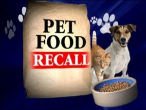Pet Food Recalls Salmonella Poisoning