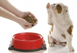 Kibble Comparison Part 2: Nutrition Info & Pricing for Grocery Store Kibbles