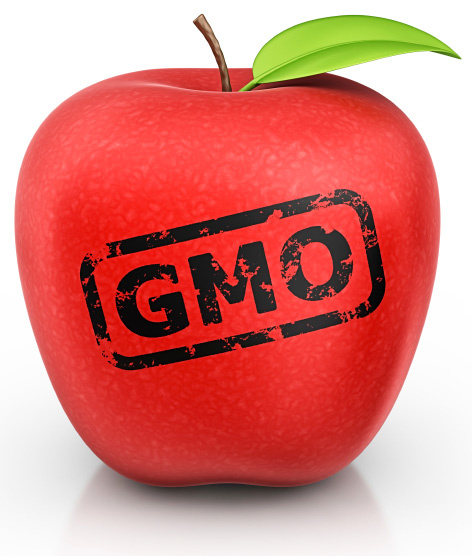 GMOs in Pet Food, What You Need To Know