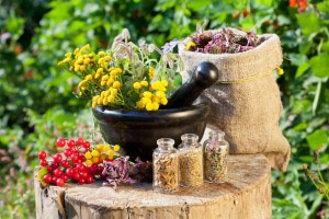 8 Common Edible "Weeds" That Can Be Used for Medicinal Purposes