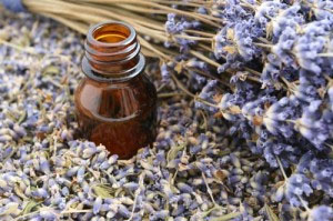 Video: The Importance of Therapy-Grade Essential Oils for Pets