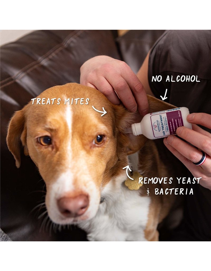 what essential oils are good for dog ear infection