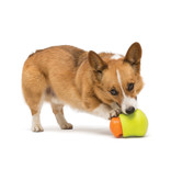 West Paw West Paw Zogoflex Toppl Tangerine Large 4"