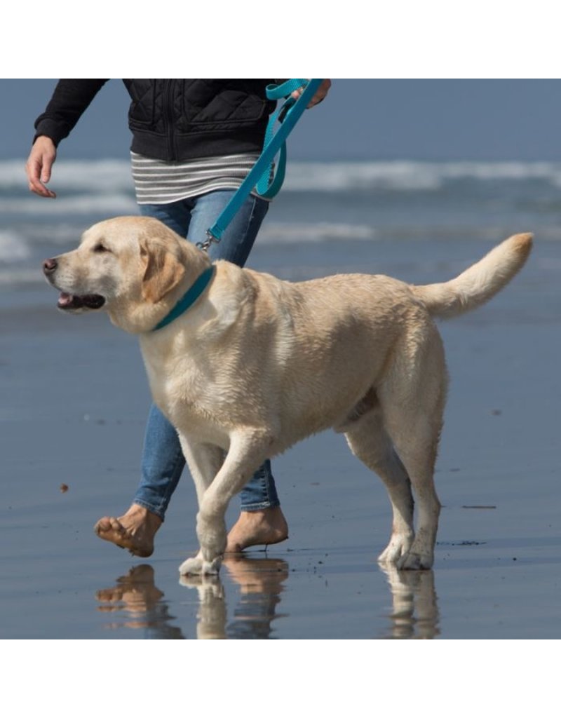 Lupine Lupine Eco 1/2" Leash | Moss 6'