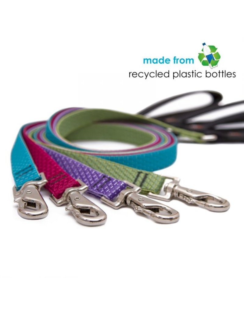 Lupine Lupine Eco 1/2" Leash | Berry 6'