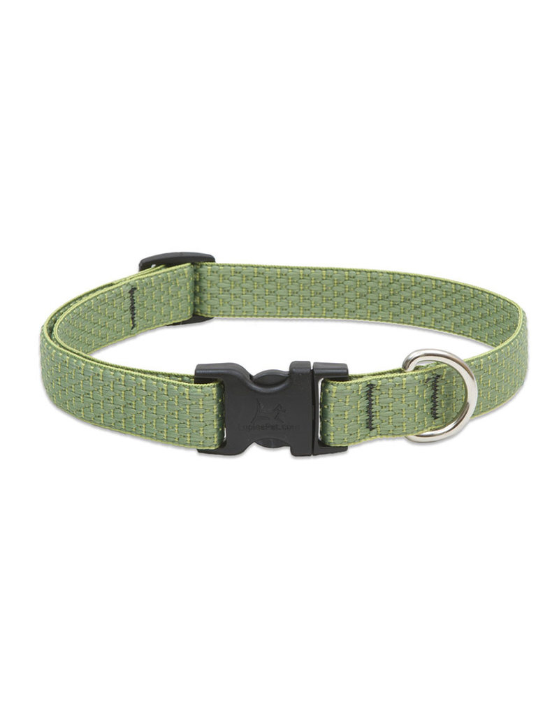 Lupine Lupine Eco 3/4" Dog Collar | Moss 13"-22"