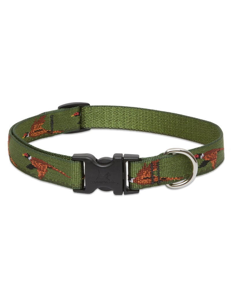 fly collar for dogs