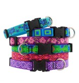 Lupine Lupine Originals 3/4" Dog Collar | Go Go Gecko 9"-14"