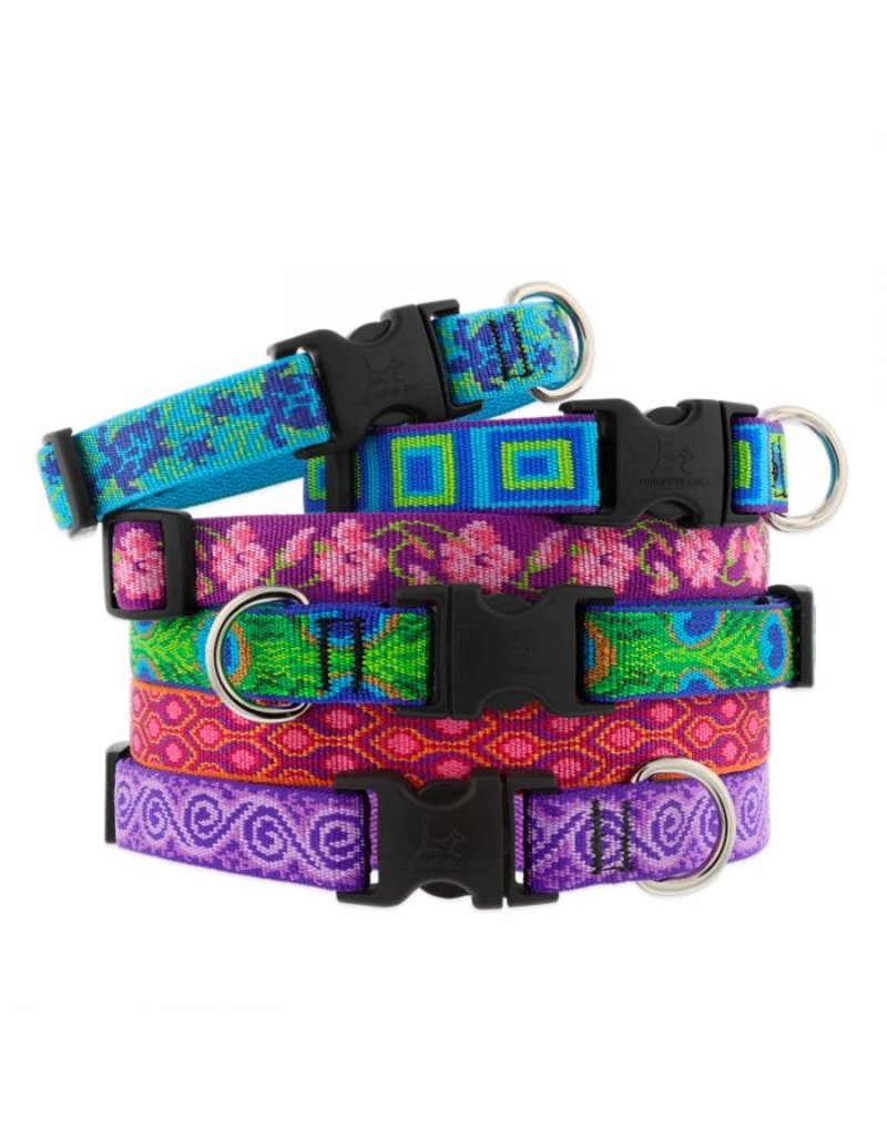 Lupine Lupine Originals 3/4" Dog Collar | Go Go Gecko 9"-14"