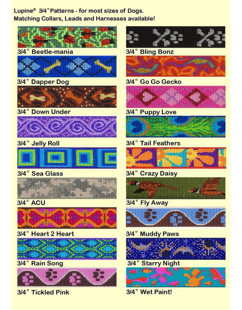 Lupine Lupine Originals 3/4" Dog Collar | Go Go Gecko 9"-14"