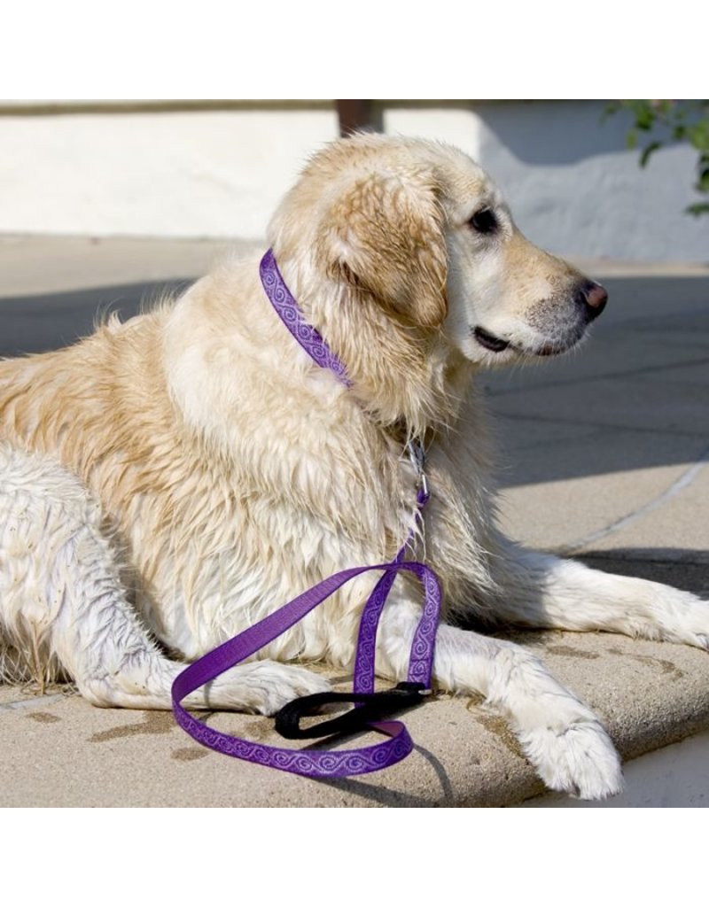 Lupine Lupine Originals 1" Dog Leash | Rain Song 6'